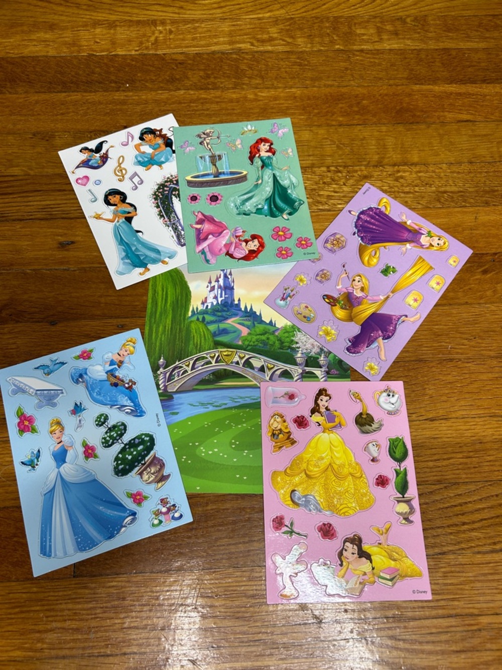 Disney Princess Magnet Lot Rapunzel, Cinderella, Belle, Jasmine, Ariel
